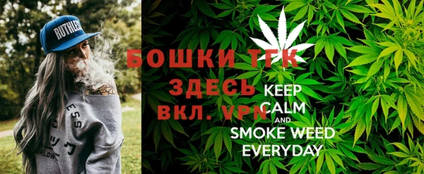 spice Верея