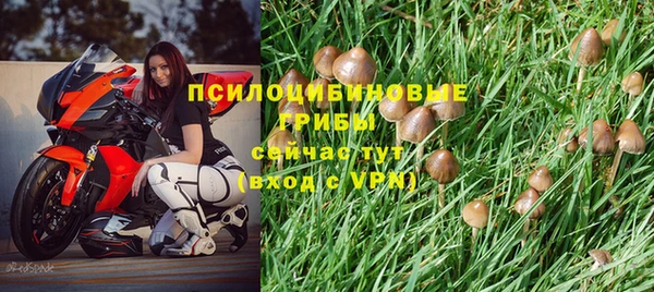 МДМА Верхний Тагил