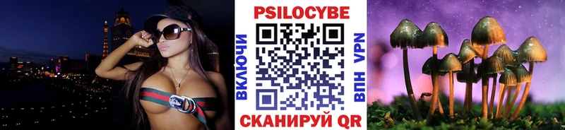 omg ССЫЛКА  закладки  Обнинск  Псилоцибиновые грибы мицелий 